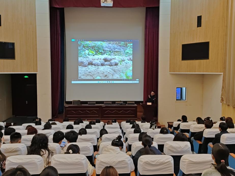 IMG_20251022_172123-3317894013789844371